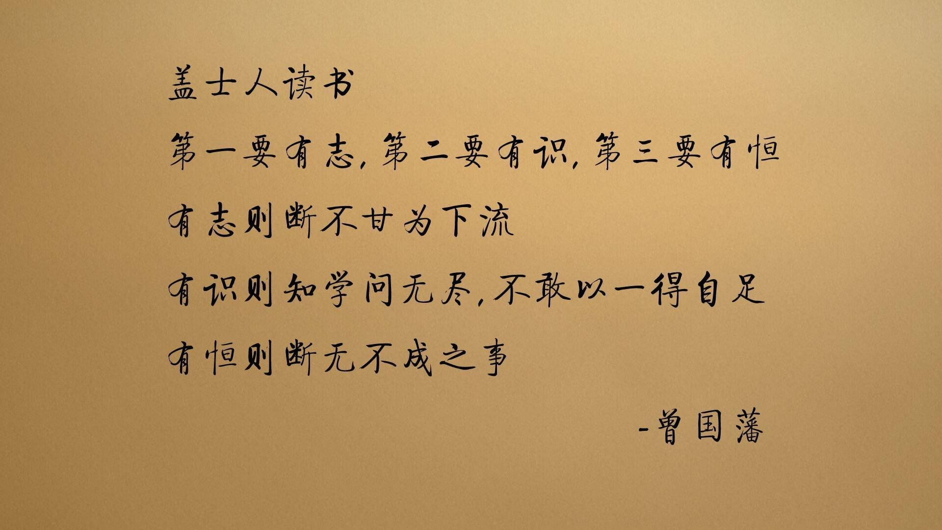 揭秘网球运动员跨赛季恢复计划，网球选手退赛