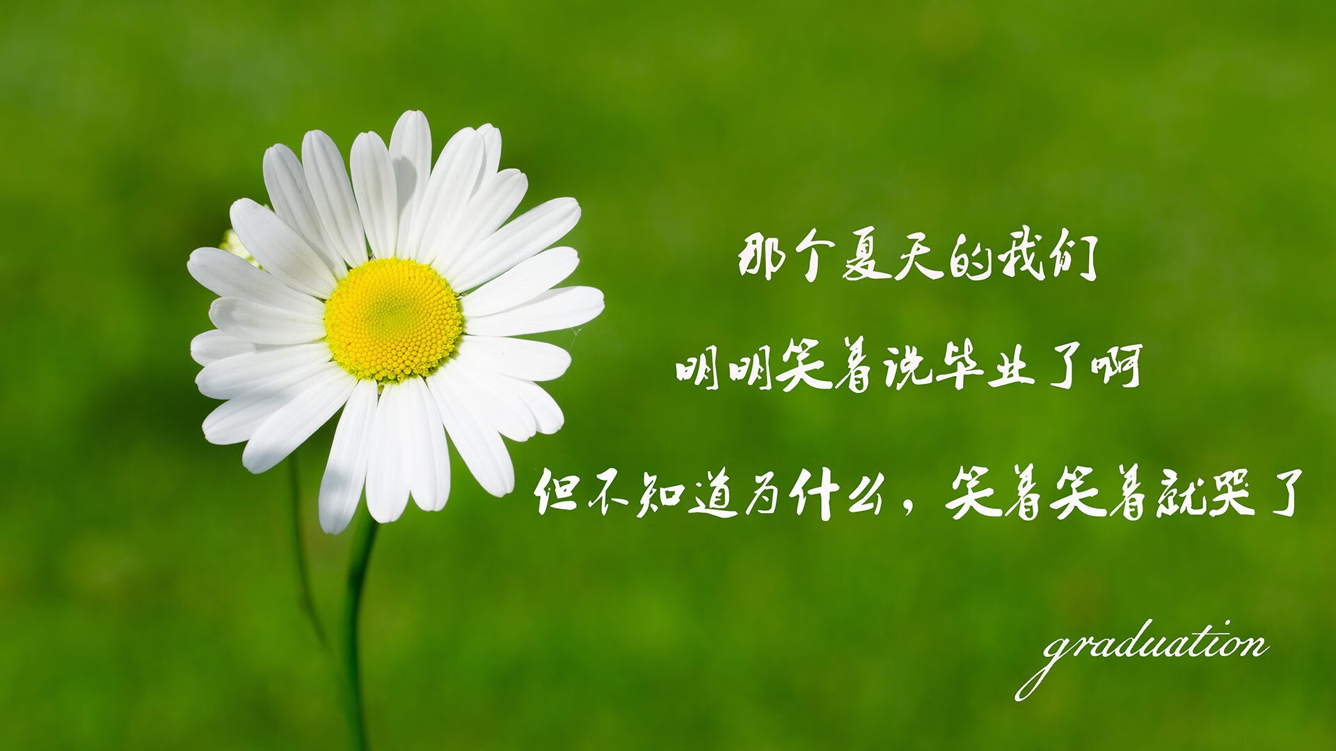全国青少年舞龙舞狮争霸赛精彩纷呈，第十二届全国舞龙舞狮锦标赛