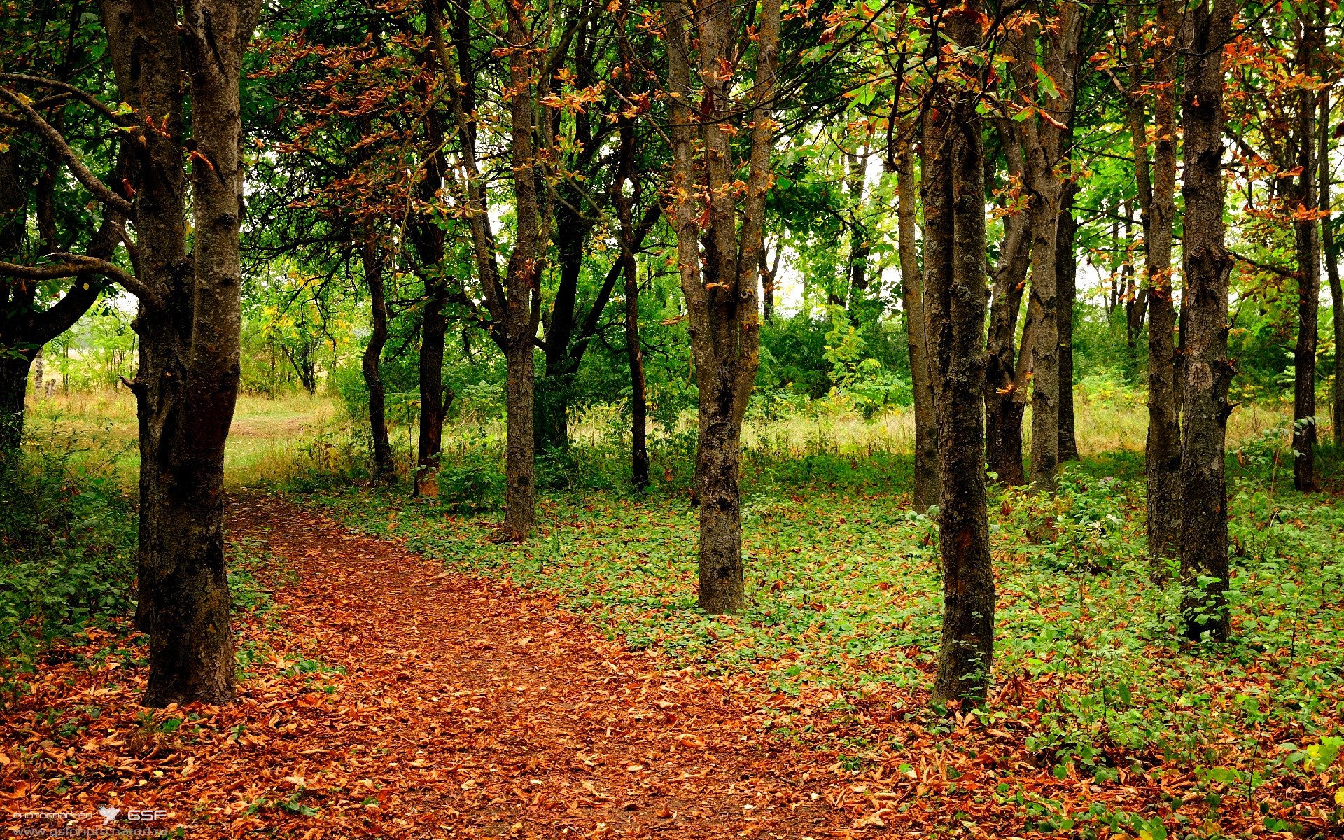 Chinese Taipei:未来体育领域如何抢占全球领先地位,未来体育是台湾的吗