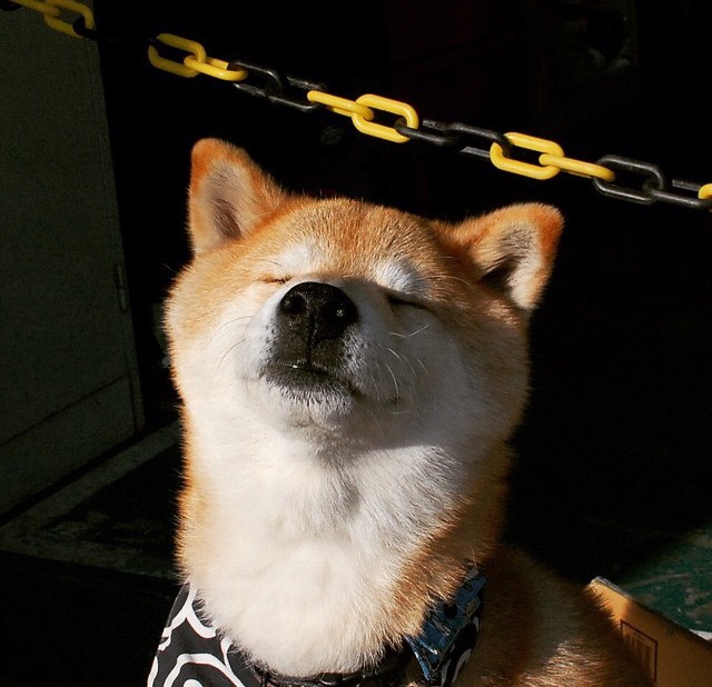 九游娱乐-“2025世界运动会：短柄墙球赛场，选手们的战术大餐引发热议”